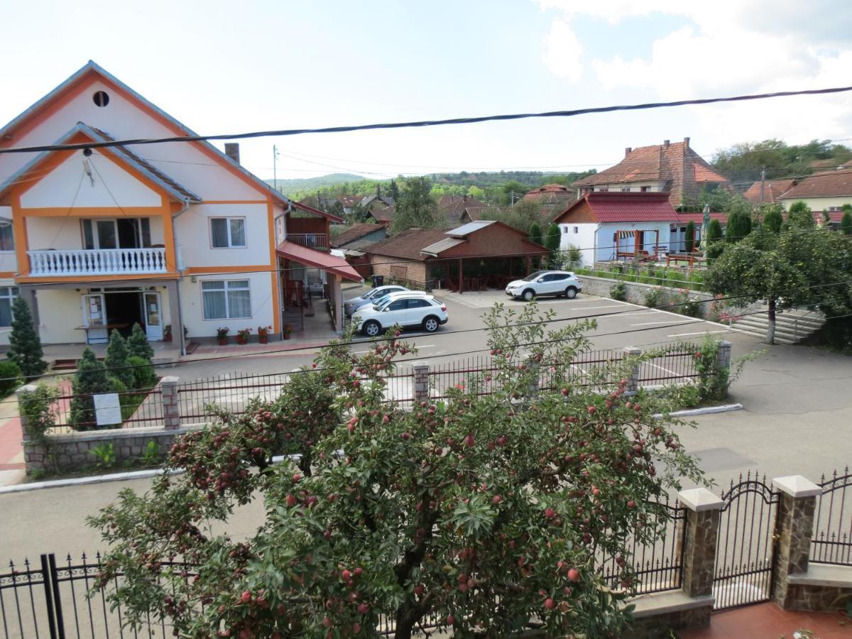Pensiunea Cetina Brad  Ngoại thất bức ảnh