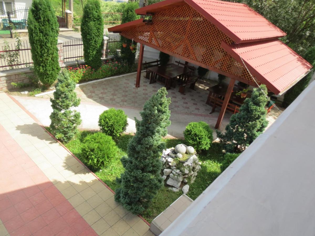 Pensiunea Cetina Brad  Ngoại thất bức ảnh
